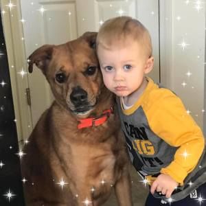 Meet your Posher, Suzanne